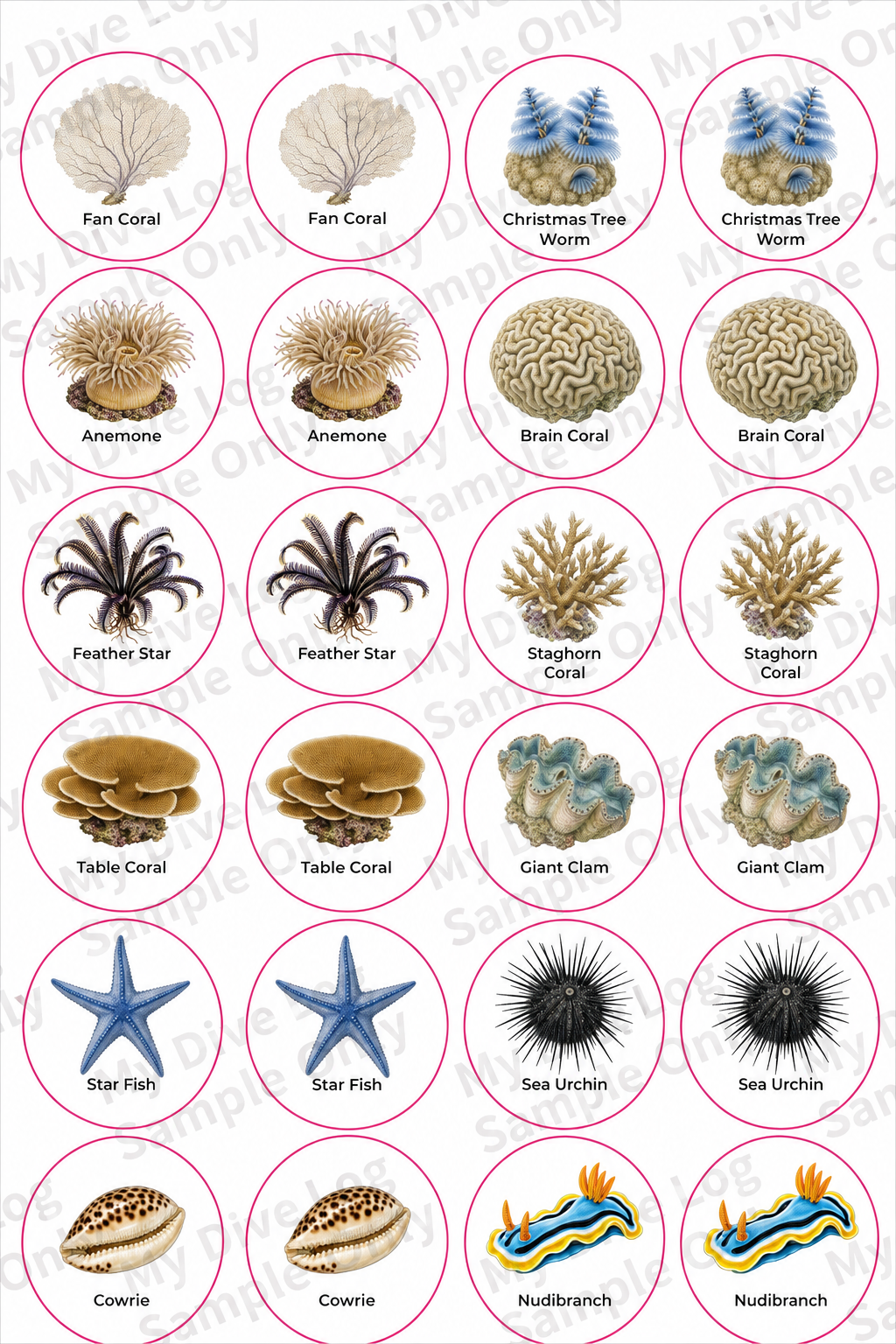 Sticker Sheet 2 - Corals & Reef Life