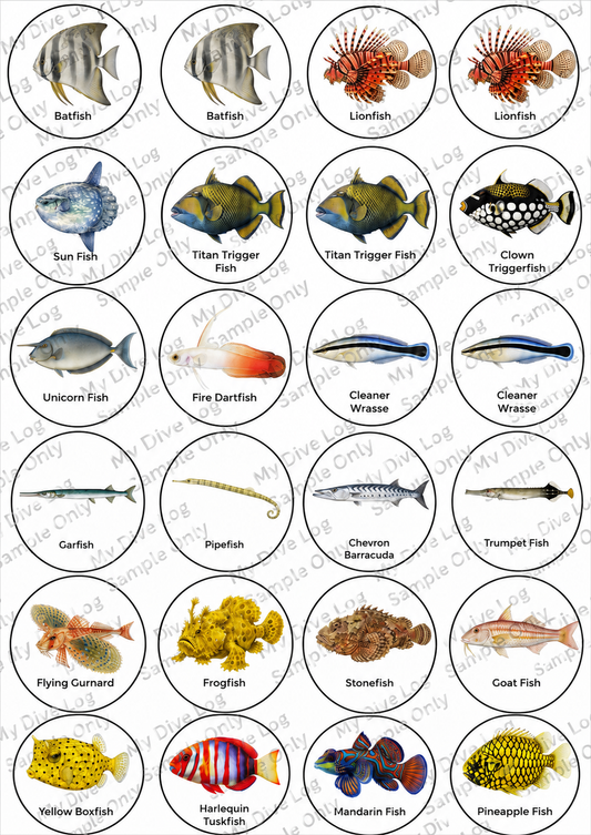 Sticker Sheet 4 – Unique Tropical Fish