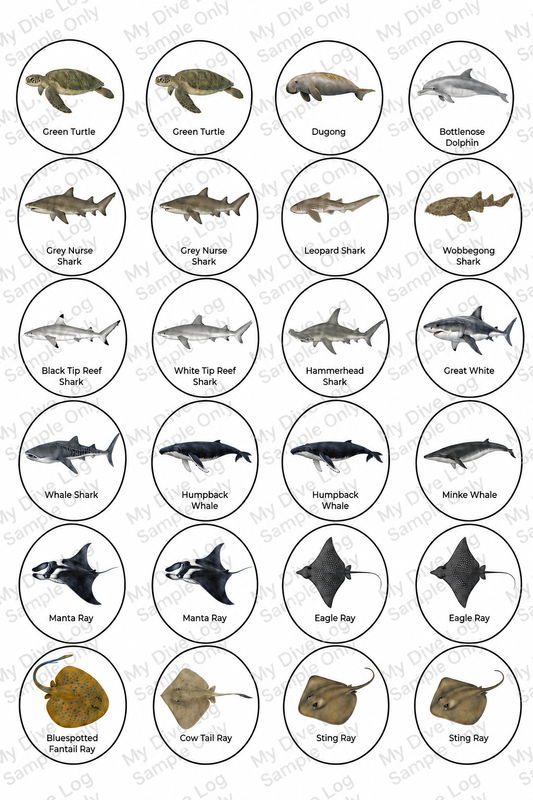 Sticker Sheet 5 – Sharks, Rays & Marine Megafauna