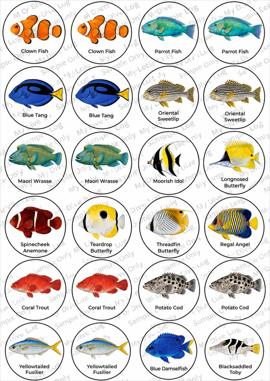 Sticker Sheet 1 - Tropical Reef Fish