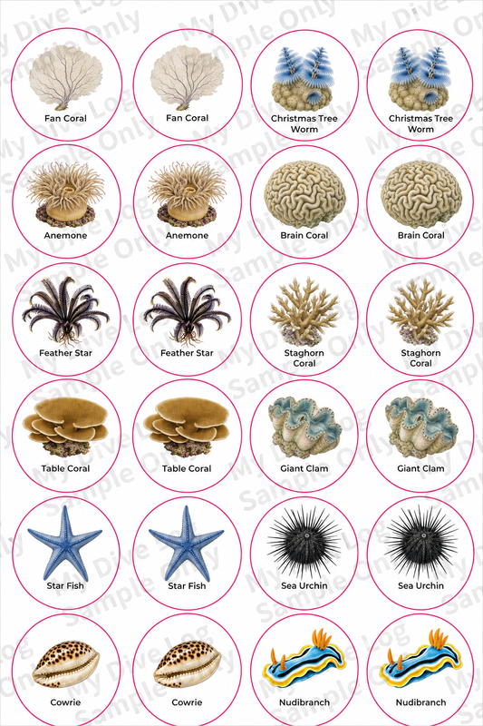 Sticker Sheet 2 - Corals & Reef Life